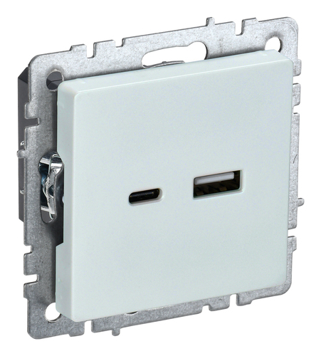 Розетка USB+USB type C IEK BRITE, скрытый монтаж, жемчуг, BR-U22-018-K36