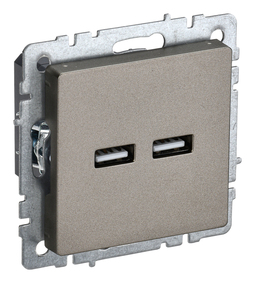 Розетка 2xUSB IEK BRITE, скрытый монтаж, шампань, BR-U21-D31-K37