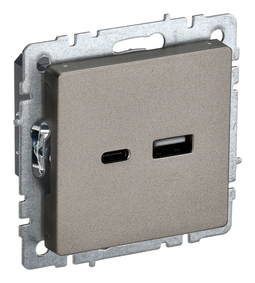 Розетка USB+USB type C IEK BRITE, скрытый монтаж, шампань, BR-U22-018-K37