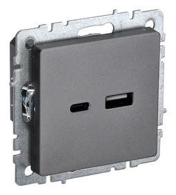 Розетка USB+USB type C IEK BRITE, скрытый монтаж, сталь, BR-U22-018-K46