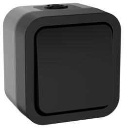 TORS Переключатель однокл. 10А IP55 TS101 графит IEK